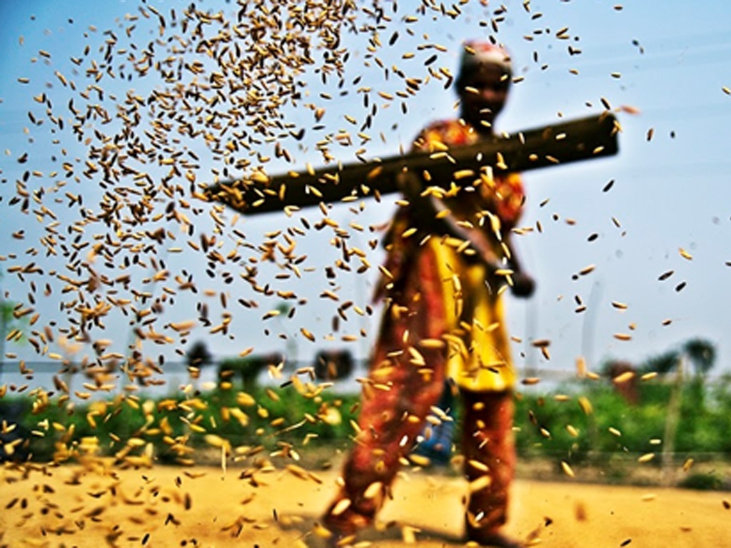 Sazzid Ahmed, de Bangladesh, priorizou um outro aspecto da sustentabilidade ao enviar a imagem de título “Grão” para a competição. - Sazzid Ahmed/Chidlren's Eyes on Earth 2012