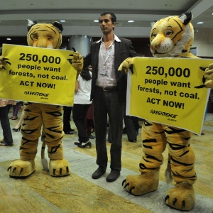 Fantasiados de tigres, membros do Greenpeace protestam na entrada da COP11, que acontece em Hyderabad, na Índia, até o próximo dia 19 - Noah Seelam/AFP