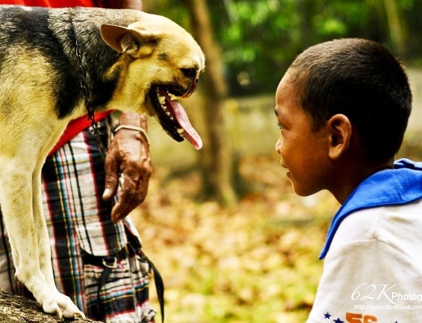 Já sem focinho, a cadela Kabang brinca com criança nas Filipinas - Reprodução/Facebook