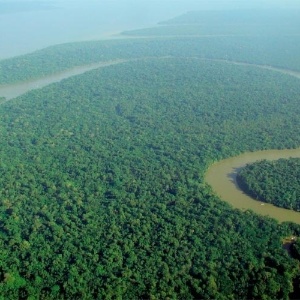 Maior extensão de floresta tropical da Terra, a floresta Amazônica é fonte de sobrevivência para diversas comunidades locais - lubasi/Wikimedia Commons