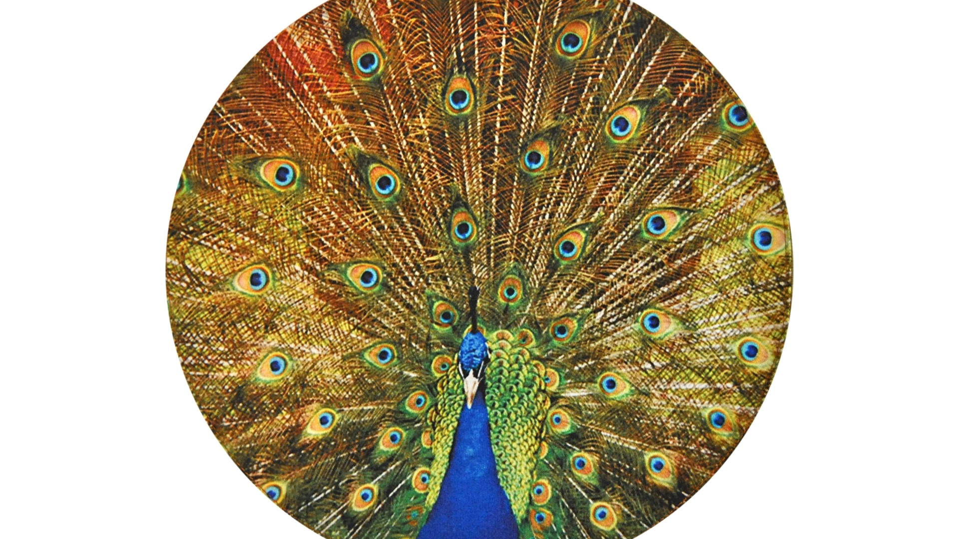 Assinado pela designer Roberta Fanucchi, o jogo americano Pavão, dupla face, é feito de algodão e seda. O item mede 38 cm de diâmetro e pode ser comprado na Casa Vostra (www.casavostra.com.br) por R$ 120 I Preços pesquisados em outubro de 2012 e sujeitos a alterações - Divulgação