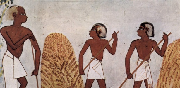 Gravura "A Colheita e o Arado de Cereais" (Mesopotâmia, 1450 A.C.) - Divulgação