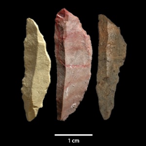 Lâminas das lanças dos homens das cavernas eram tratadas com fogo, mostra estudo na África do Sul - Simen Oestmo/Arizona State University