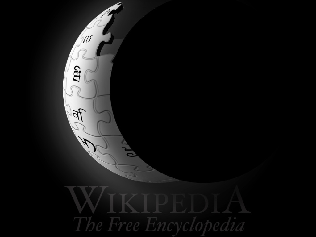 APAGÃO NA INTERNET - No livro, Casti fala sobre como um hacker americano conseguiu descobrir uma forma de invadir a internet, mudar servidores e até derrubar parte da rede. O hacker que deu o depoimento disse que ?não há como salvar a internet. Há apenas como adiar o inevitável por mais um tempo?. Isso causaria um blecaute, como o que a Wikipedia simulou para protestar contra a lei antipirataria online, só que com toda a web que conhecemos - Reprodução/Wikipedia