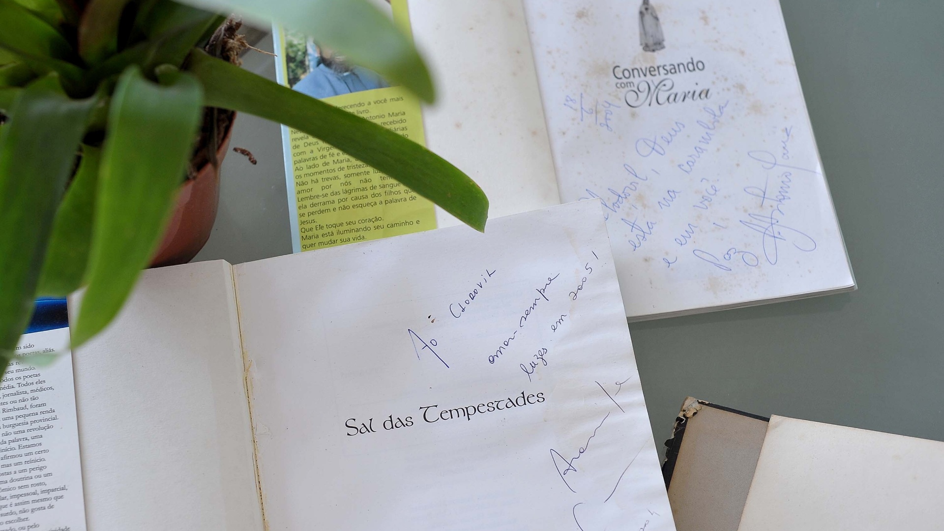 Livros que foram dados com dedicatória a Clodovil - Reinaldo Canato/UOL