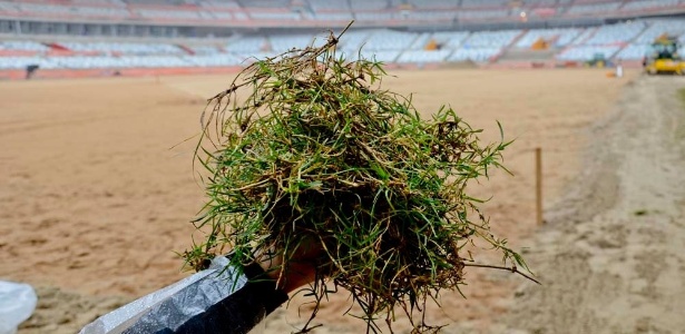 Mineirão, cujo plantio da grama foi iniciado na 6ª feira passada, terá jogos pelo Estadual  - Sylvio Coutinho/ divulgação