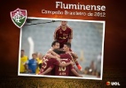 Veja e baixe o pôster do Fluminense campeão brasileiro de 2012