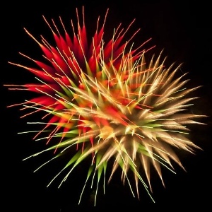 O fotógrafo canadense David Johnson criou imagens que lembram flores ou anêmonas marinhas a partir de fogos de artifício.  - David Johnson/BBC 