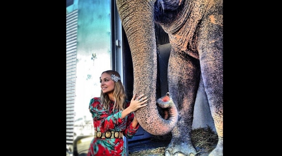 A socialite e apresentadora Nicole Richie divulgou uma foto onde aparece segurando a tromba de um elefante (19/11/12). 