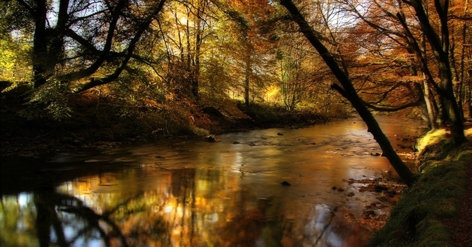 23.nov.2012 - O fotógrafo conseguiu registrar com habilidade os diferentes tons característicos do outono britânico, a sua estação favorita do ano