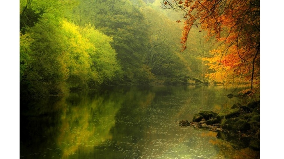 As fotos de Merrifield por vezes lembram pinturas, como esta que remete a um quadro impressionista. Esta paisagem mostra a vegetação em torno do rio Wharfe, em Boton Abbey, na Inglaterra - Roger Merrifield / Barcroft Media