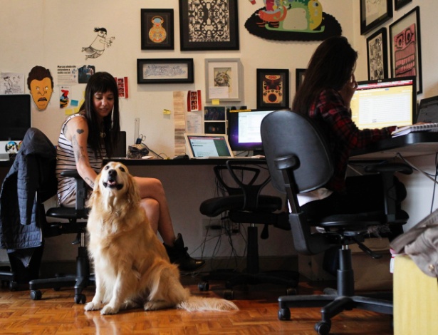 Vanessa Queiroz e a golden retriver Bumi no Estúdio Colletivo; até os clientes se derretem pelos animais - Fernando Donasci/UOL