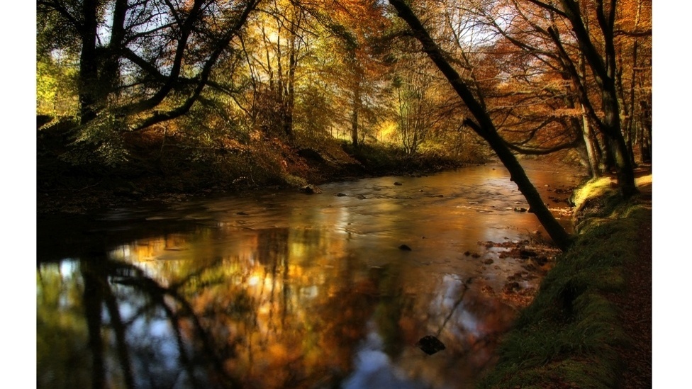 O fotógrafo conseguiu registrar com habilidade os diferentes tons característicos do outono britânico, a sua estação favorita do ano - Roger Merrifield / Barcroft Media