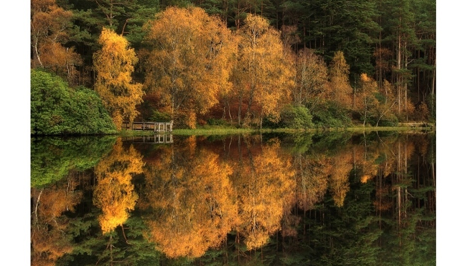 O fotógrafo conta que costuma ir de três a quatro vezes ao ano para captar as várias cores outonais e as mudanças de tom da estação, que marcam a natureza britânica nesta época do ano - Roger Merrifield / Barcroft Media