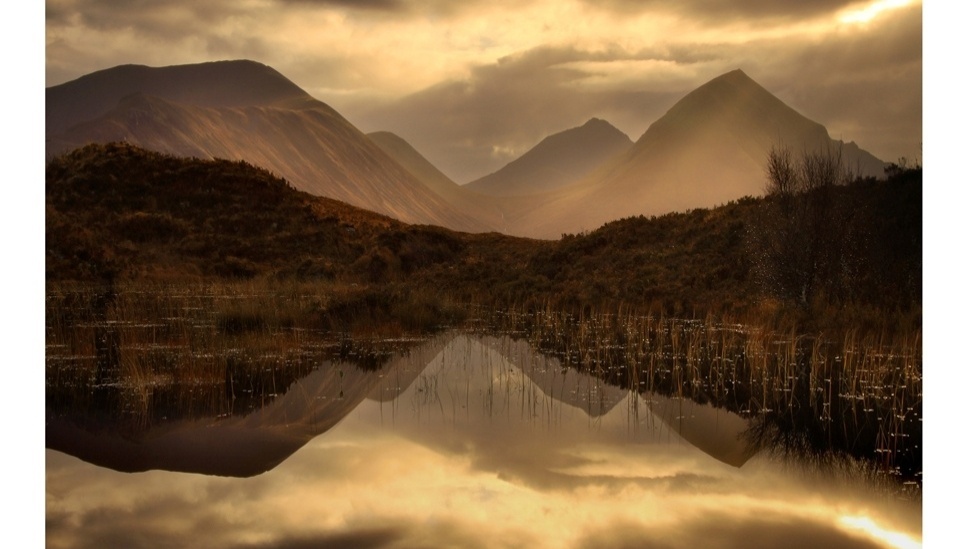 Os reflexos presentes nas imagens do fotógrafo amador conferem a elas um tom aspecto surrealista - Roger Merrifield / Barcroft Media