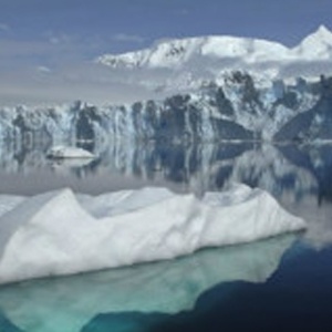 Acidez maior dos oceanos está afetando o ecossistema, segundo pesquisa - BBC