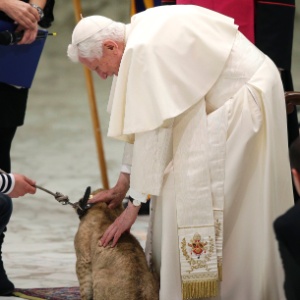 Papa Bento 16 acaricia pequeno tigre no Vaticano - Max Rossi/Reuters