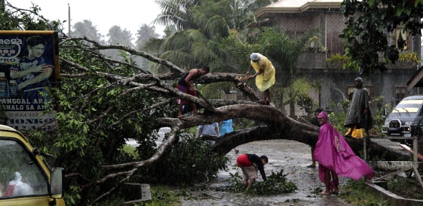 Pessoas tentam cortar galhos de árvore arrancada pela raiz com a passagem do tufão Bopha
