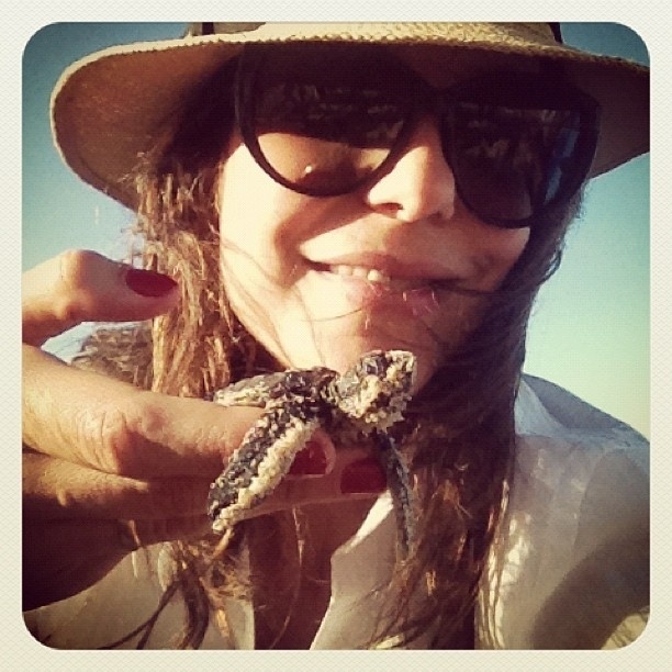 7.dez.2012 - Ivete Sangalo publica foto segurando tartaruga