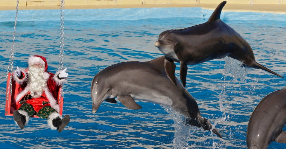 11.dez.2012 - Golfinhos saltam junto de um homem vestido como Papai Noel no parque aquático Marineland, em Antibes, na França
