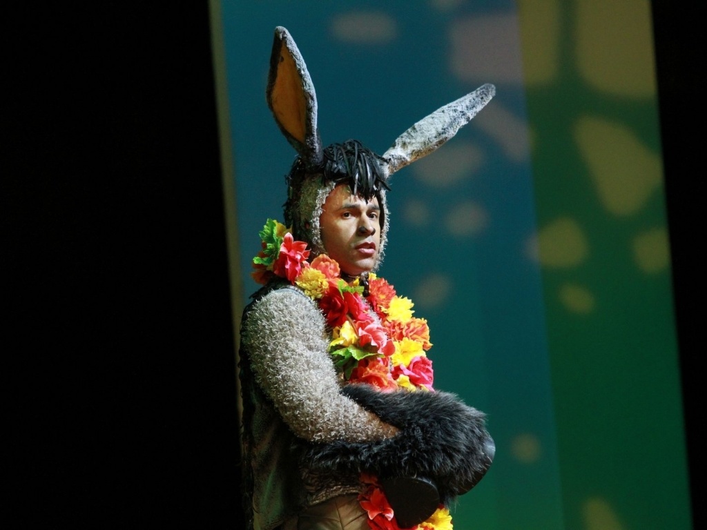 12.dez.2012 - Rodrigo Sant'Anna interpreta o Burro no musical "Shrek" - Raphael Mesquita/Foto Rio News