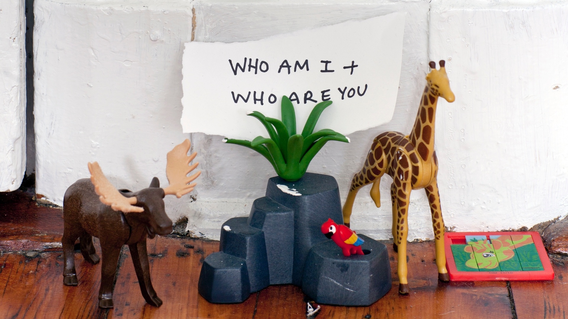 Os brinquedos no chão do escritório estão esperando para serem "engessados". As frases "Who am I" (Quem sou eu?) e "Who are you" (Quem é você?) frequentemente aparecem no trabalho da artista (Imagem do NYT, usar apenas no respectivo material) - Trevor Tondro/ The New York Times