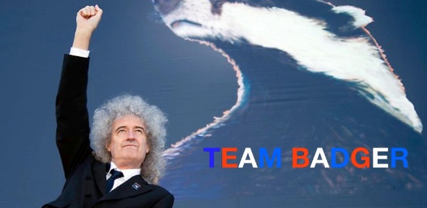 Brian May criou grupo para impedir extermínio de texugos no Reino Unido - Team Badger/Divulgação