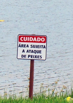 Placa adverte visitantes para perigo de ataque de piranhas em praia fluvial de Rancharia (SP) - Divulgação