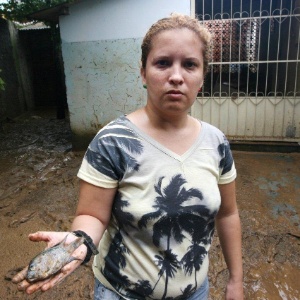 Após a enchente, Marcela Gomes Coelho, 32, encontrou um peixe em sua casa no distrito de Xerém, em Duque de Caxias (SP) - Zulmair Rocha/UOL