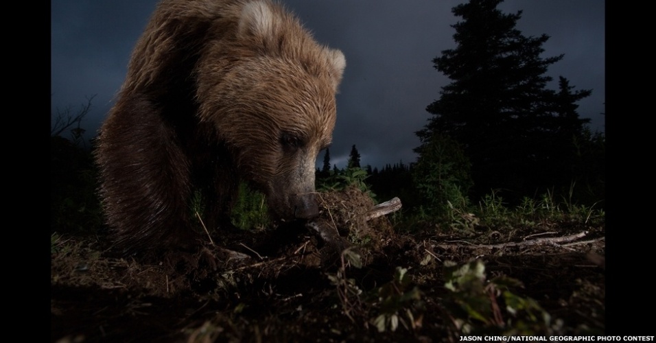 8.jan.2012 - Em seu tradicional concurso anual de fotografia, a revista "National Geographic" recebeu mais de 22 mil imagens de fotógrafos profissionais e amadores enviadas de mais de 150 diferentes países. O vencedor levou US$ 10 mil - Jason Ching/National Geographic Photo Contest