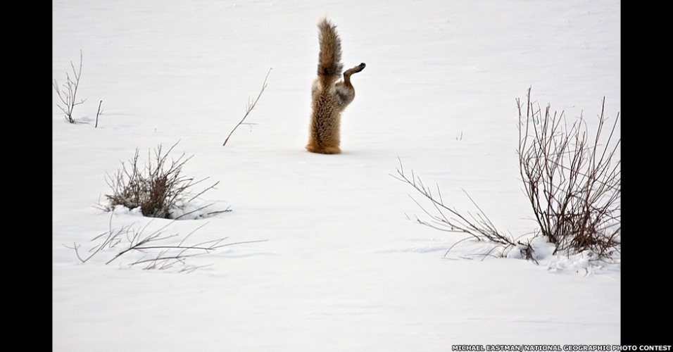 8.jan.2012 - Em seu tradicional concurso anual de fotografia, a revista "National Geographic" recebeu mais de 22 mil imagens de fotógrafos profissionais e amadores enviadas de mais de 150 diferentes países. O vencedor levou US$ 10 mil - Michael Eastman/National Geographic Photo Contest