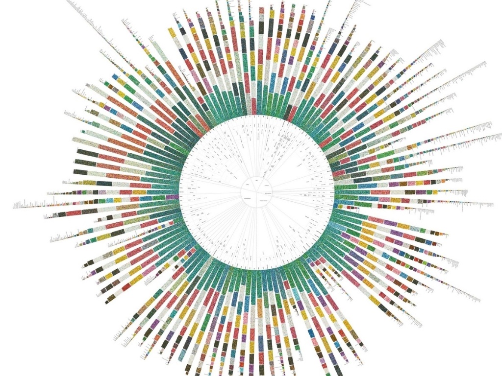 8.jan.2013 - O designer Terrence Fradet criou essa roda que mostra como as pessoas entendem as cores ao redor do mundo - do Brasil, há apenas o estudo da língua tupi. Ele interpretou visualmente o banco de dados do World Color Survey, que reúne informações de como 2.696 nativos (que representam cerca de 110 idiomas e dialetos) identificam 330 cores. Segundo a pesquisa, alguns idiomas conseguem explicar todo o espectro de cores usando apenas duas palavras (claro e escuro), enquanto outros diferenciam 60 cores raras (como se estivessem quase extintas, ao menos, do vocabulário). Os resultados foram agrupados geograficamente, mas divididos por dialetos, com as cores mais conhecidas no centro e as mais obscuros, no fim da linha - Terrence Fradet/Reprodução