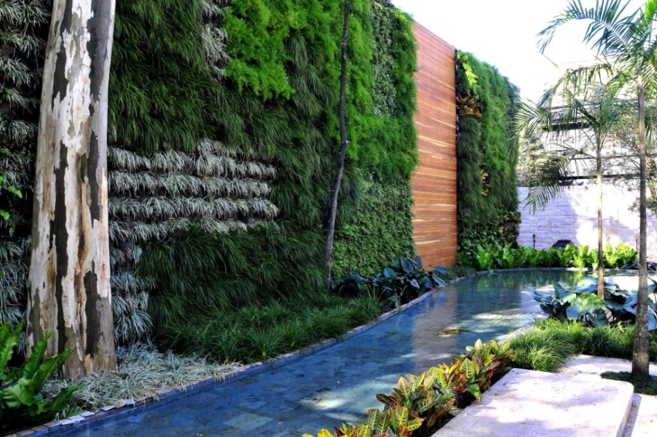 Neste projeto, do arquiteto e paisagista Alex Hanazaki, o espelho d'água compõe o jardim vertical - Divulgação