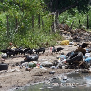 O acúmulo de lixo em um terreno baldio localizado no bairro Jardim Iguaçu, em Nova Iguaçu, na Baixada Fluminense, atraiu um bando de urubus. - Zulmair Rocha/UOL