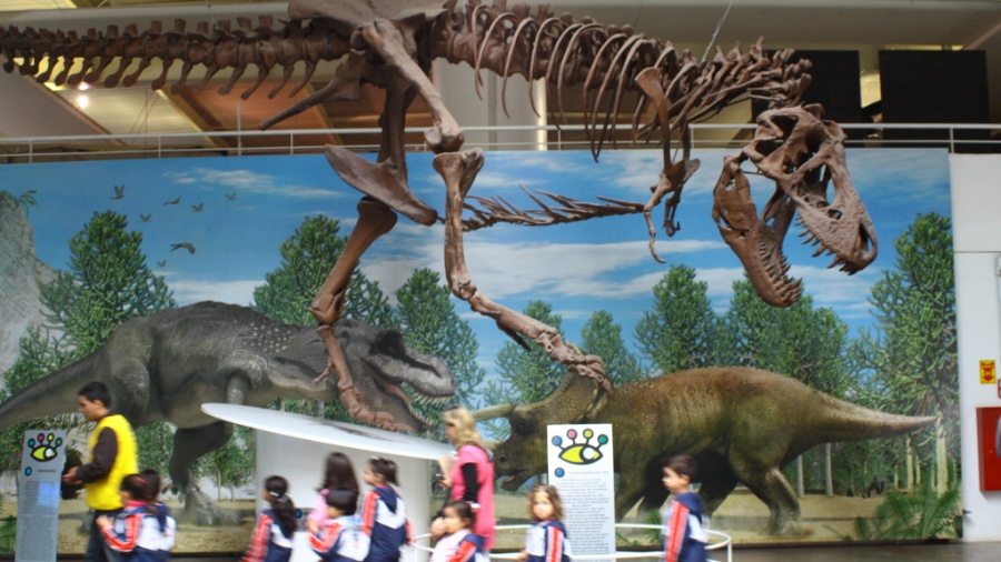 Tiranossauro Rex e outros dinossauros são algumas das atrações que você pode conferir em São Paulo - Divulgação