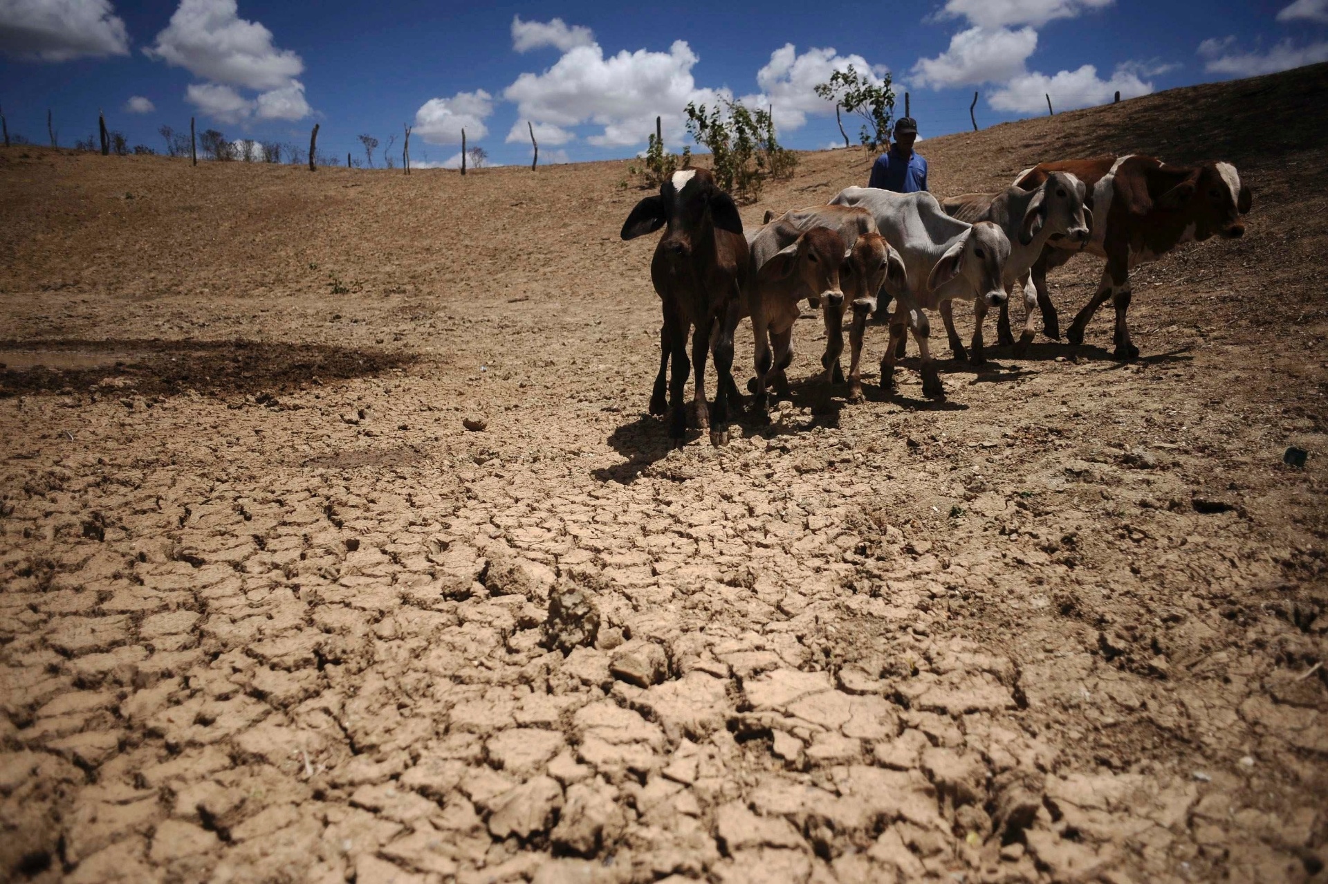 Homem atravessa área afetada pela seca no Nordeste do país - Lunae Parracho/Reuters