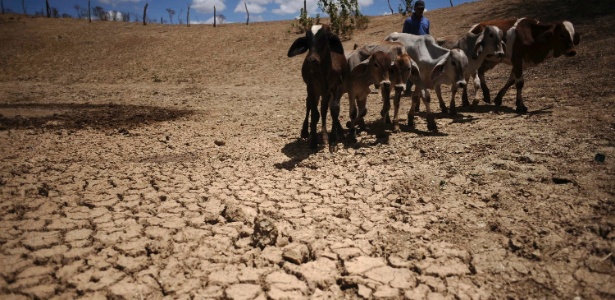 Homem atravessa área afetada pela seca no Nordeste - Lunae Parracho/Reuters