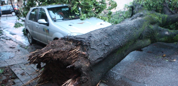Chuva que atingiu Belo Horizonte provocou queda de árvores, como na rua Peçanha, no bairro Carlos Prates - Luiz Costa/Hoje em Dia/Estadão Conteúdo