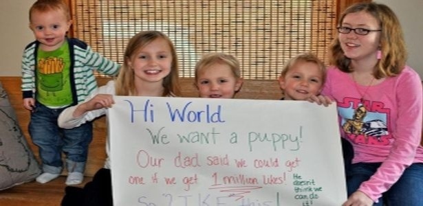 Foto das irmãs bateu quase dois milhões de "curtidas" e garantiu o novo cachorro da família - Reprodução/Facebook