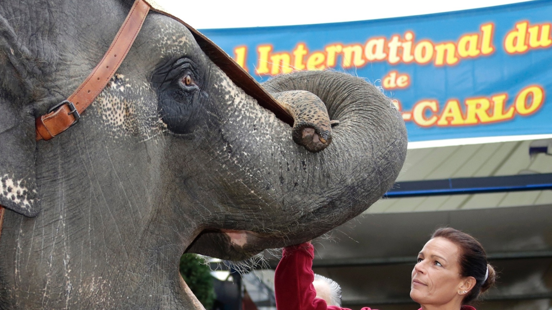 A princesa Stephanie de Monaco brinca com elefante nos bastidores do Festival Internacional de Circo de Monte Carlo  - REUTERS/Eric Gaillard