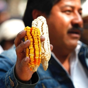 Fazendeiro mostra sabugos de milho durante protesto - Bernardo Montoya/Reuters