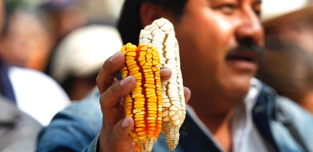 Fazendeiro mostra sabugos de milho durante protesto na Cidade do México. Os manifestantes são contra o crescimento do plantio de milho transgênico, o que afetaria a diversidade do grão, alimento básico no México e na América Central - Bernardo Montoya/Reuters