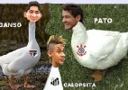 Corneta FC: Paulistas inovam e levam aves para seus CTs