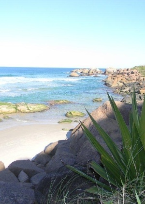 Brasil Naturista/Divulgação