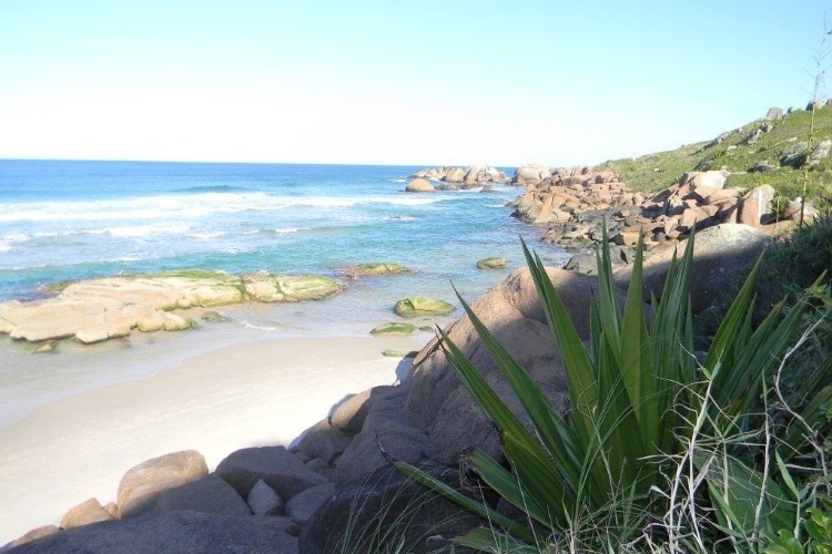 Galheta (SC) - Localizada em Florianópolis, a praia tem areia branca e mar de águas verdes. O acesso é feito a pé, em um trajeto que leva 15 minutos a partir da praia Mole - Brasil Naturista/Divulgação