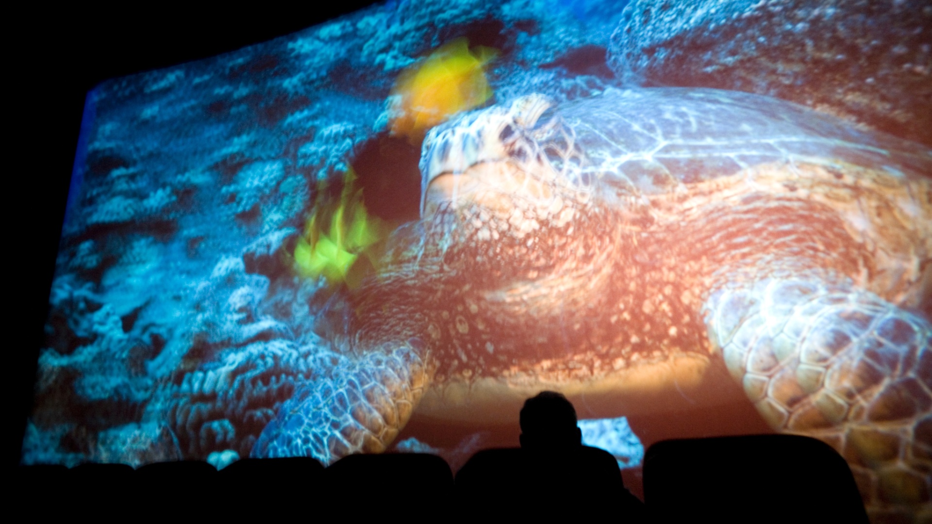 sala de cinema 3d Imax - Jefferson Coppola/Folhapress