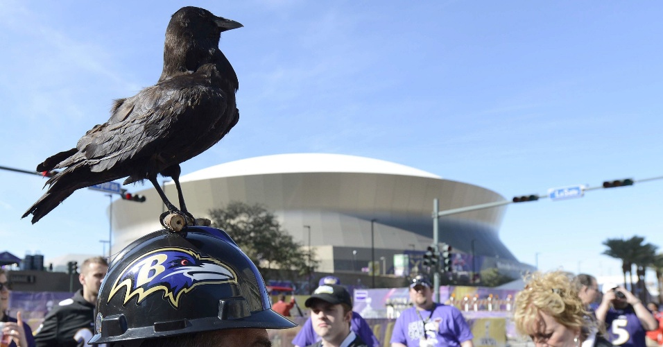 03.fev.2013 - Torcedor do Baltimore Ravens aparece com corvo no chapéu para o Super Bowl