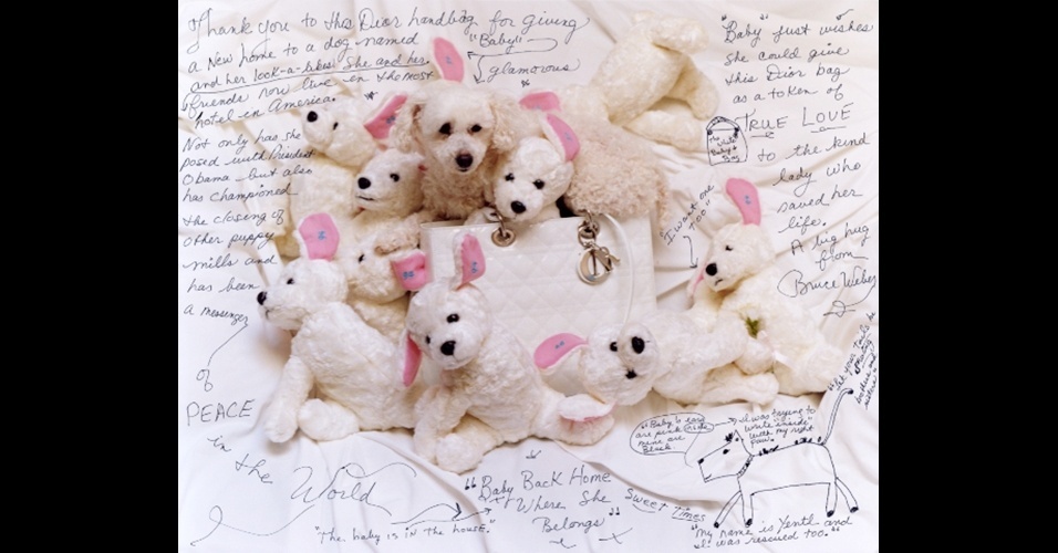 Foto de Bruce Weber para a exposição "Lady Dior As Seen By" - Divulgação