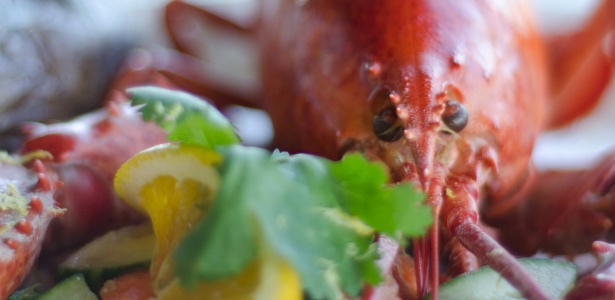 Um jantar de lagosta cozida servido no restaurante Sun & Surf em York Beach, no Maine  - Alexa­ndra C. Daley­-Clar­k/The New York ­Times­