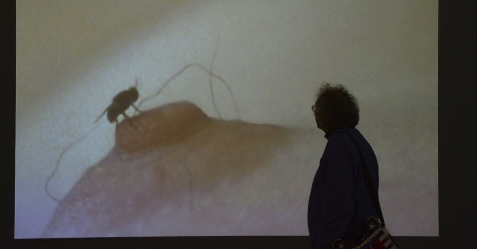 O museu Schirn Kunsthalle, na cidade alemã de Fankfurt, apresenta uma retrospectiva da obra de Yoko Ono, que comemora seus 80 anos - EFE/Arne Dedert